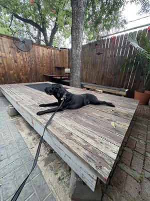 Tweedy's Bar by null