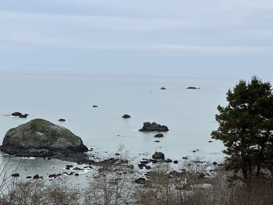 The Lost Whale Inn Oceanfront B&B by null