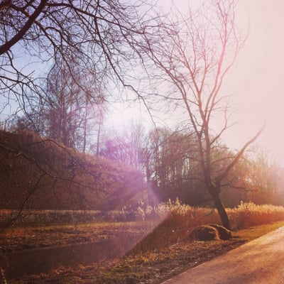 Parc de la Citadelle by null