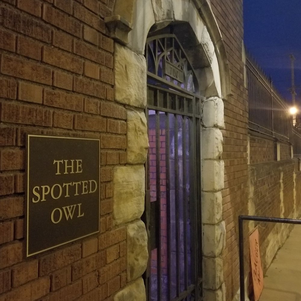 The Spotted Owl - Bars Near Me The Spotted Owl - Bars Near Me