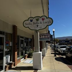 Stella, Bella & Lucy's
