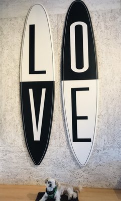 Moxy St. Petersburg Downtown by null