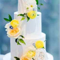 Tampa Bay Cake Company