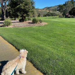 Long Walkies