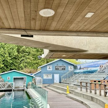 Aquarium Cafe - Cafes Near Me - Vancouver, British Columbia Aquarium Cafe - Cafes Near Me - Vancouver, British Columbia