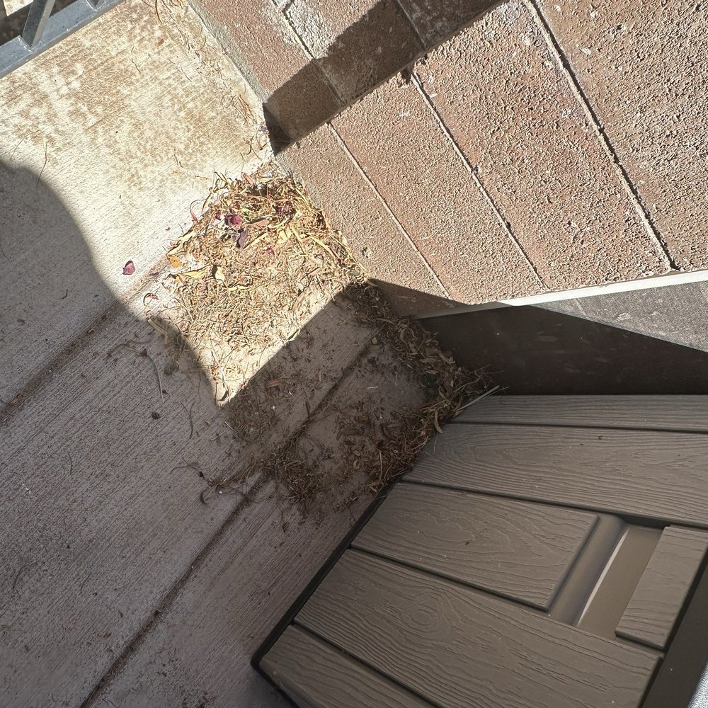Dcancio Landscape - Debris not blown - Landscape Architects or Designers Near Me - Manor, Texas