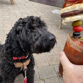 Megpies Bakery & Cafe - Chachie eyeing my drink or that breakfast sausage biscuit in my drink! - Donuts Near Me - Pacific City, Oregon Megpies Bakery & Cafe - Chachie eyeing my drink or that breakfast sausage biscuit in my drink! - Donuts Near Me - Pacific City, Oregon