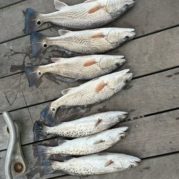 Our catch with a little help.