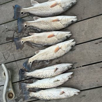 May River Excursions - Our catch with a little help. - Boating Near Me - Bluffton, South Carolina May River Excursions - Our catch with a little help. - Boating Near Me - Bluffton, South Carolina