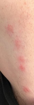 Comfort Inn Los Angeles near Hollywood by null