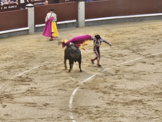 Las Ventas Bullring by null