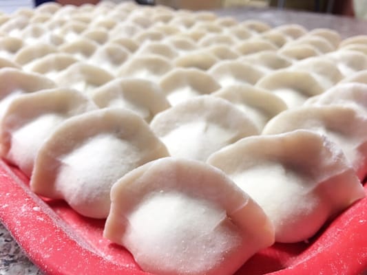 Yummy Dumpling by null