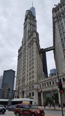 Chicago Tribune by null