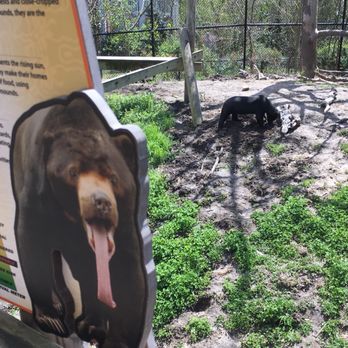 Virginia Zoo - Zoos Near Me - Norfolk, Virginia