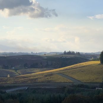 Willamette Valley Vineyards - Looking West from the winery! - Wineries Near Me - Turner, Oregon Willamette Valley Vineyards - Looking West from the winery! - Wineries Near Me - Turner, Oregon