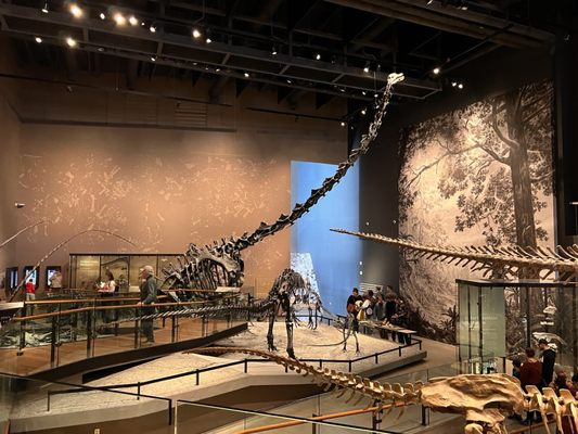 Natural History Museum of Utah by null
