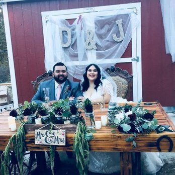 Reptacular Animals - Party & Event Planning Near Me - Sun Valley, California Reptacular Animals - Party & Event Planning Near Me - Sun Valley, California