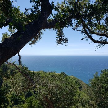 Nepenthe - Views from the balcony dining area. - New American Near Me - Big Sur, California