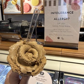 Amorino Gelato - Coffee - Gelato Near Me - Roswell, Georgia Amorino Gelato - Coffee - Gelato Near Me - Roswell, Georgia