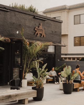 The Boy & The Bear - Coffee Roastery by null