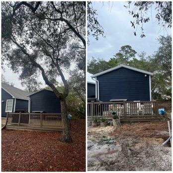 Landscape Enterprise - Tree removal - Tree Services Near Me Landscape Enterprise - Tree removal - Tree Services Near Me