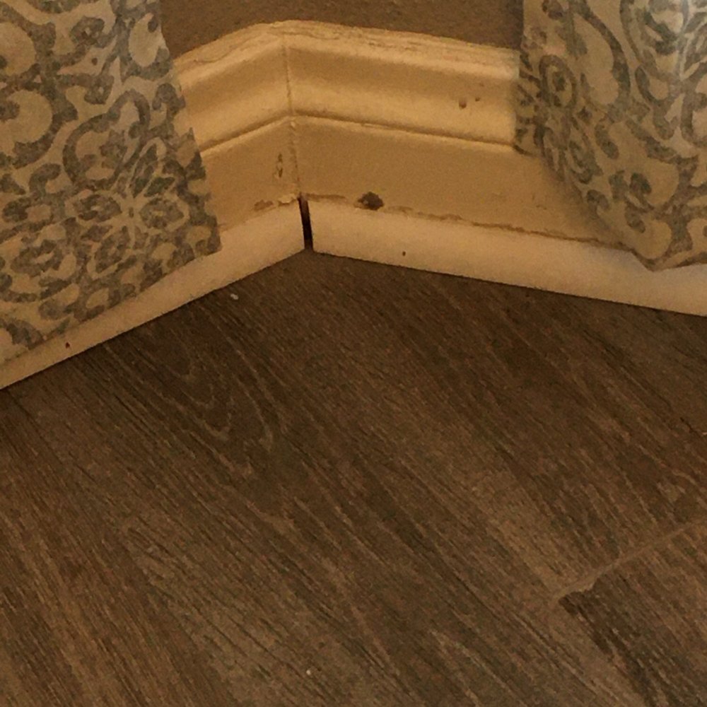 Cen-Tex Tile & Floor Center - Shoe molding done by original crew. - Flooring Near Me - Temple, Texas