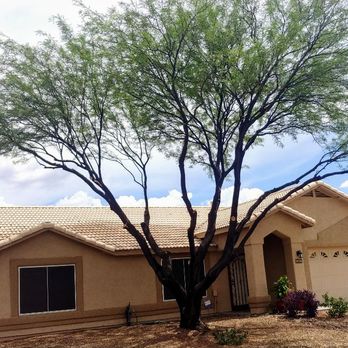 George Scaff Tree Service - Mesquite trees after - Tree Services Near Me George Scaff Tree Service - Mesquite trees after - Tree Services Near Me