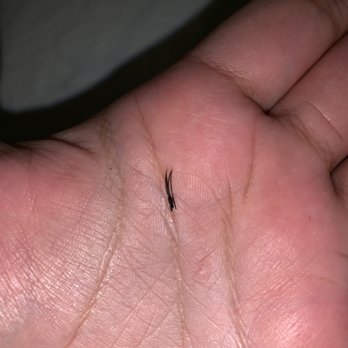 Christine Lash Studio - 4 lashes placed on one of my single natural lash, when i asked for single mink lashes. This shouldn't happen. Such a sloppy job. - Eyelash Service Near Me - New York, New York Christine Lash Studio - 4 lashes placed on one of my single natural lash, when i asked for single mink lashes. This shouldn't happen. Such a sloppy job. - Eyelash Service Near Me - New York, New York
