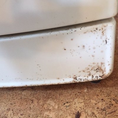 The Arnold House by null