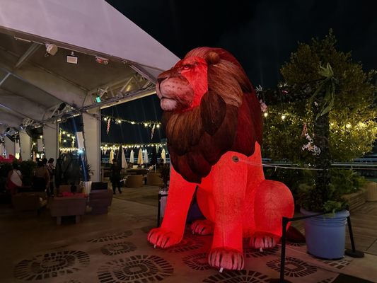 Carousel Club by null