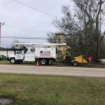 C & M Tree Service - C&M Tree Service - Tree Services Near Me C & M Tree Service - C&M Tree Service - Tree Services Near Me