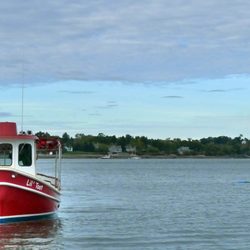 Guildive Cruises
