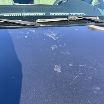 Concord Toyota - Paint failed on the hood - Car Dealers Near Me - Concord, California Concord Toyota - Paint failed on the hood - Car Dealers Near Me - Concord, California