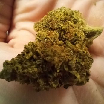 Casa de Mota - Critical Kush - Vitamins & Supplements Near Me - San Antonio, Texas Casa de Mota - Critical Kush - Vitamins & Supplements Near Me - San Antonio, Texas