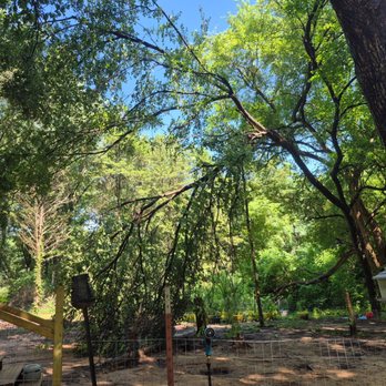 Super Trees - Tree Services Near Me Super Trees - Tree Services Near Me