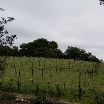Merry Edwards Winery - Wineries Near Me - Sebastopol, California Merry Edwards Winery - Wineries Near Me - Sebastopol, California