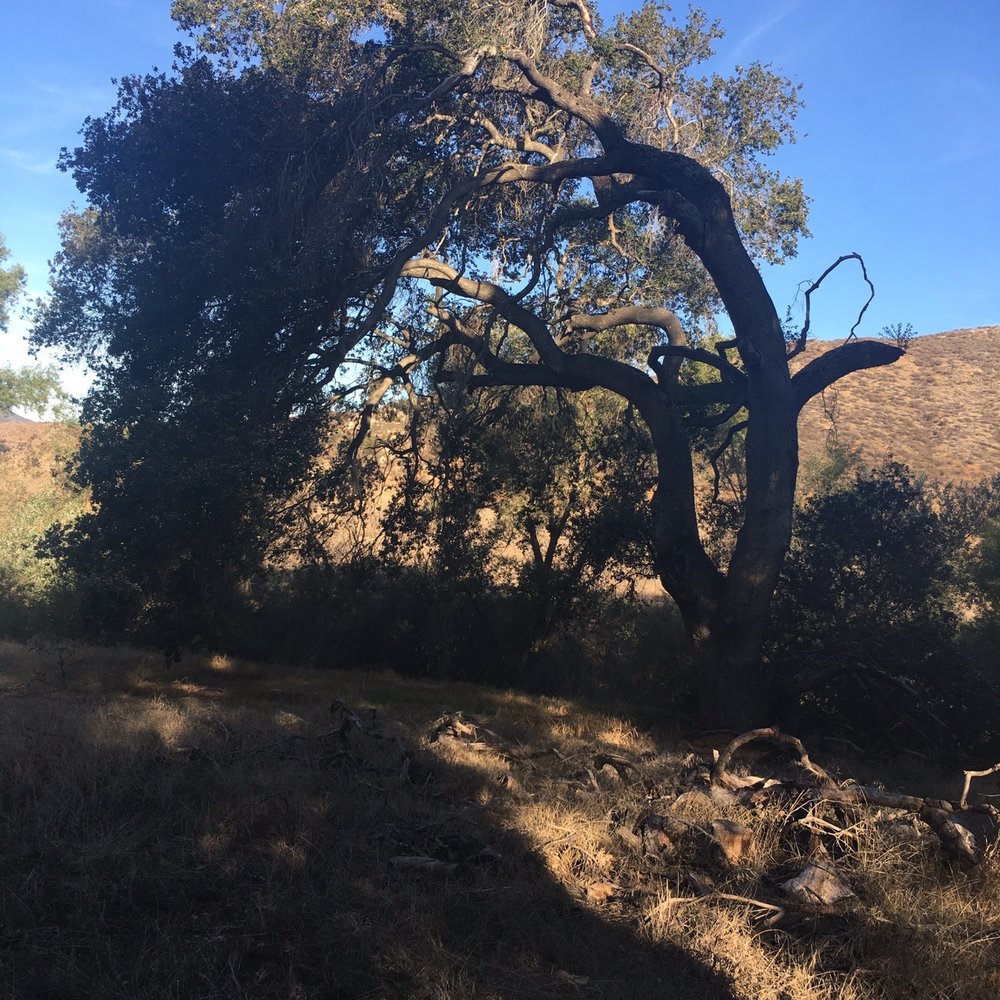 Hollenbeck Canyon Wildlife Area - Hiking Near Me - Jamul, California