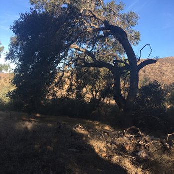 Hollenbeck Canyon Wildlife Area - Hiking Near Me - Jamul, California