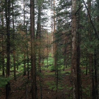 Cinnamon Bear Inn - One of the only good things about my room. Beautiful view. - Hotels Near Me - Mammoth Lakes, California
