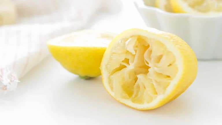 Salty Girls Lemonade Logo