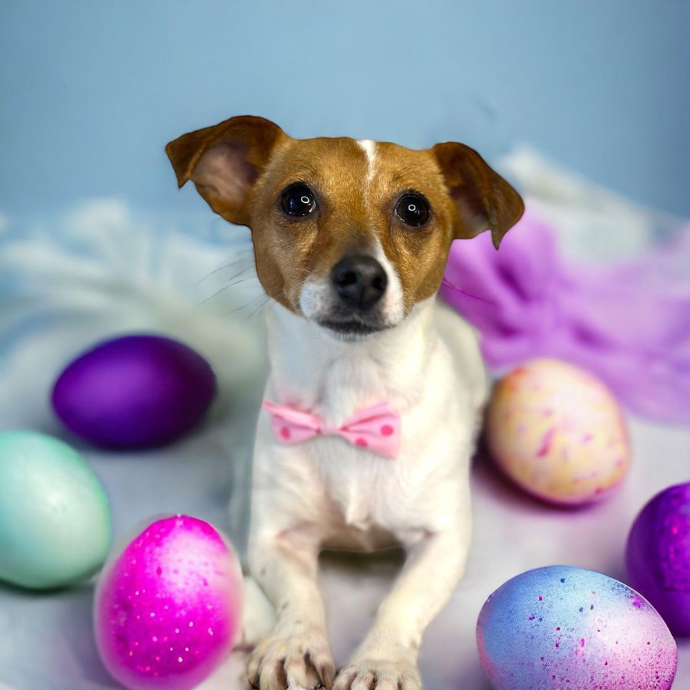 SHEAR DESIGNS SALON & SPAW Updated October 2024 81 Photos New