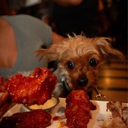 Shōjō’s Dojo - Fried Chicken Wings by Pin Pan Pollo (in the kitchen daily)