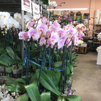 Flora Clay - Florists Near Me - Los Angeles, California Flora Clay - Florists Near Me - Los Angeles, California