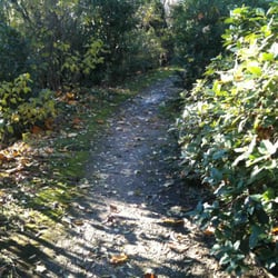 Parc Felix Lavit - Dans les buissons