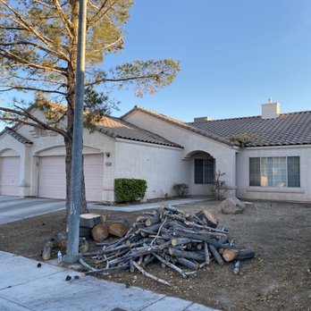 Treepro - After - Tree Services Near Me - Las Vegas, Nevada