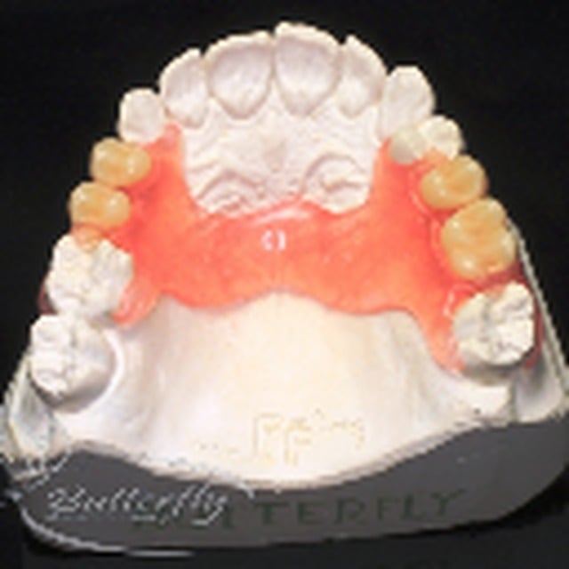 BUTTERFLY DENTAL LABORATORY Victoria Road, Oswestry, Shropshire