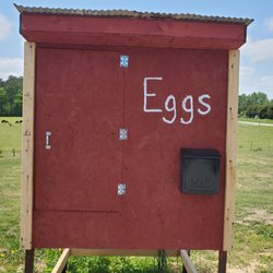 Murphys Pit BBQ - Fresh country eggs