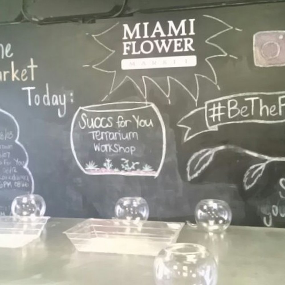 Succs For You - all ready for terrarium class at Miami Flower Market - Home & Garden Near Me - Miami, Florida Succs For You - all ready for terrarium class at Miami Flower Market - Home & Garden Near Me - Miami, Florida