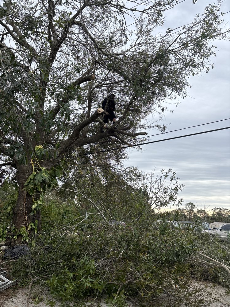 Slide of JD Masonry & More