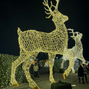 Enchant - Festivals Near Me - Arcadia, California